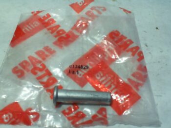 PERNO PEDANA PASS.DX/SX RS PEGASO APRILIA AP8134829
