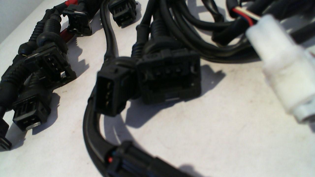 CABLAGGIO DUCATI MONSTER RAPID F27-DUC-005 - immagine 4