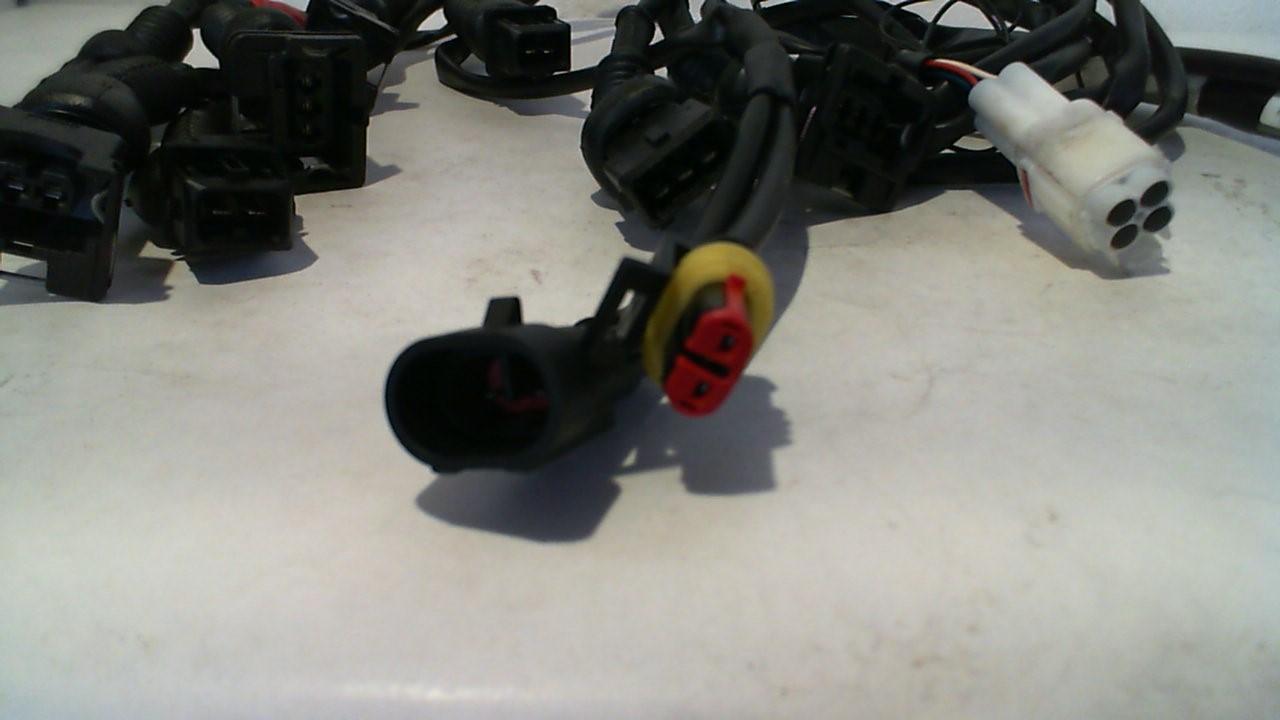 CABLAGGIO DUCATI MONSTER RAPID F27-DUC-005 - immagine 6
