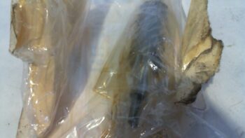 INGRANAGGIO RINVIO KM VN 1500  KAWASAKI 410601161