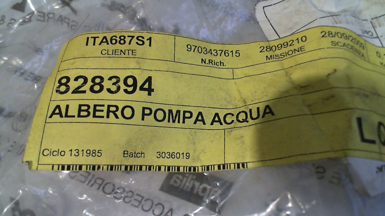 ALBERO POMPA ACQUA ATLANTIC BEVERLY X8 X9 PIAGGIO APRILIA 828394 - immagine 3