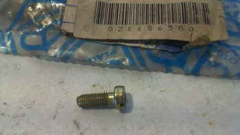 VITE DI FISSAGGIO VALVOLA A GAS CARBURATORE PIAGGIO 288865