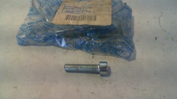 VITE M8X35 PIAGGIO 598921 EX 169915