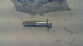 VITE 35X 7 PIAGGIO 435806