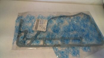 GUARNIZIONE PUNTERIE PORTER DIESEL PIAGGIO 493109