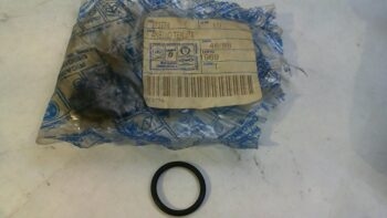 O-RING FORCELLONE HEXAGON PIAGGIO 273774