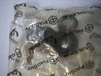 SERIE REVISIONE CILINDRETTO FRENO POSTERIORE PIAGGIO COSA PIAGGIO 229613