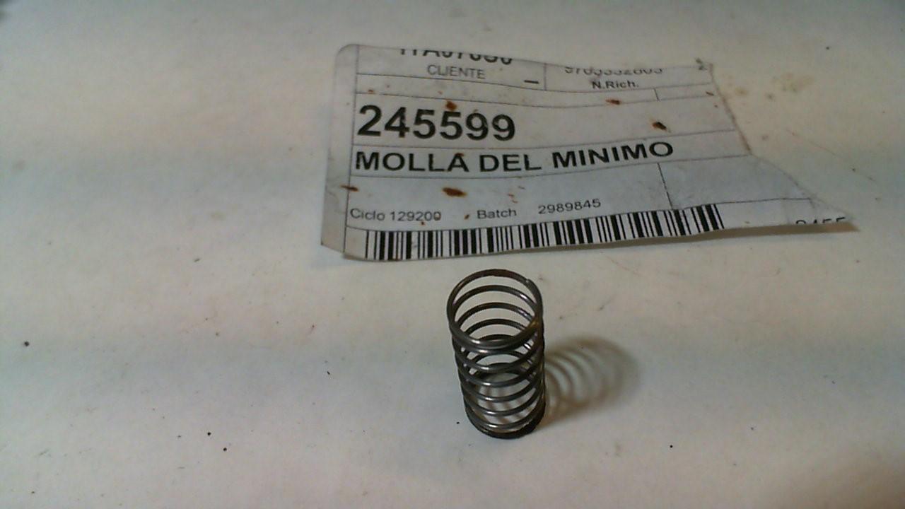 MOLLA DEL MINIMO APE TM 703 DIESEL PIAGGIO 245599