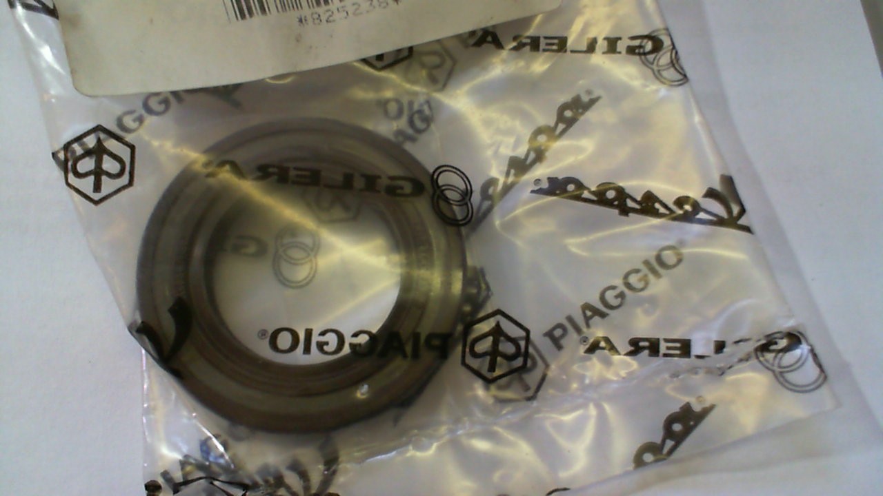 ANELLO DI TENUTA MIS.25X40X7 BEVERLY PIAGGIO 825238