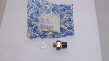 BULBO SPIA TEMPERATURA NRG PIAGGIO 947008