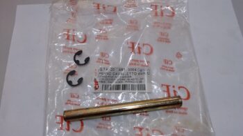 PERNO CAVALLETTO ZIP VESPA PIAGGIO CIF 3094