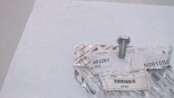 VITE PULEGGIA DISTRIBUZIONE PORTER DIESEL PIAGGIO 493283