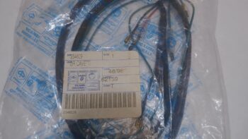 GRUPPO CAVETTI PIAGGIO 254609