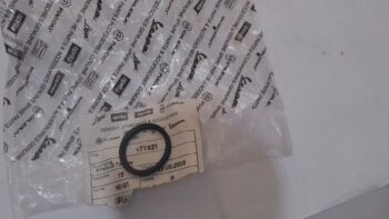 ANELLO TENUTA ASSE RUOTA PIAGGIO 177521