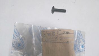 VITE BEVERLY PIAGGIO 272836 EX 319364
