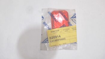 CATARINFRANGENTE VESPA PIAGGIO 020914